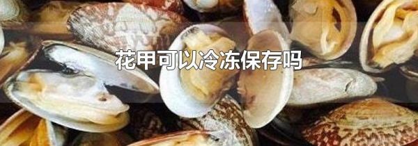 花甲可以冷冻保存吗