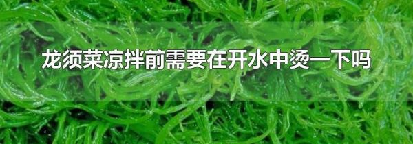 龙须菜凉拌前需要在开水中烫一下吗