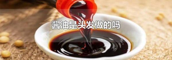 酱油是头发做的吗
