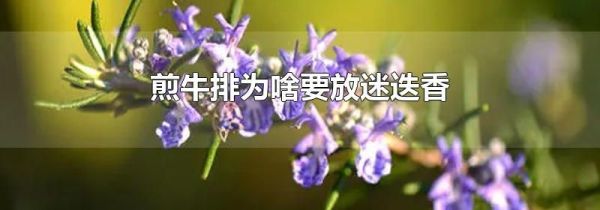 煎牛排为啥要放迷迭香