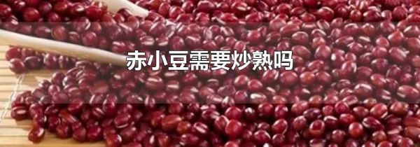 赤小豆需要炒熟吗