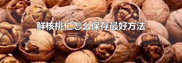 鲜核桃仁怎么保存最好方法