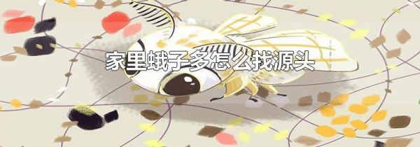 家里蛾子多怎么找源头
