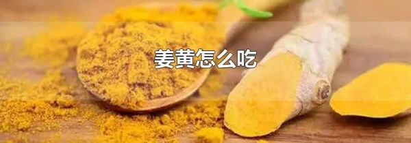姜黄怎么吃