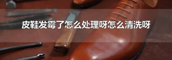 皮鞋发霉了怎么处理呀怎么清洗呀