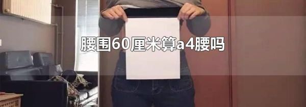 腰围60厘米算a4腰吗