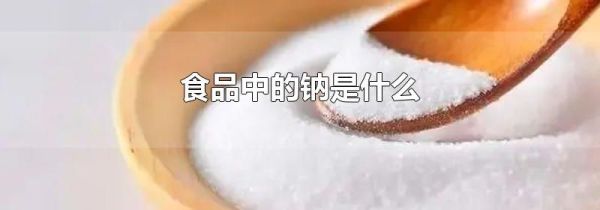 食品中的钠是什么