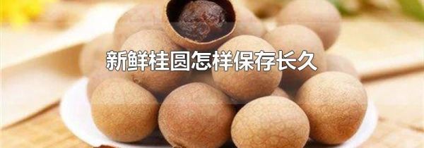 新鲜桂圆怎样保存长久