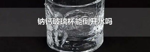 钠钙玻璃杯能倒开水吗