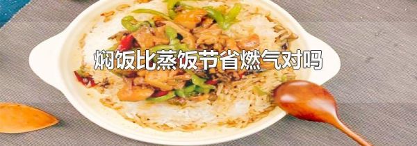 焖饭比蒸饭节省燃气对吗
