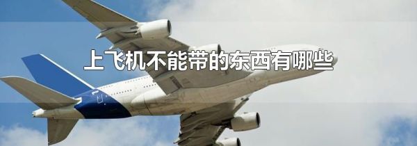上飞机不能带的东西有哪些