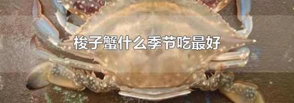 梭子蟹什么季节吃最好