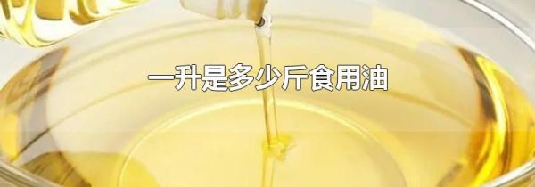 一升是多少斤食用油