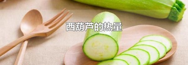 西葫芦的热量