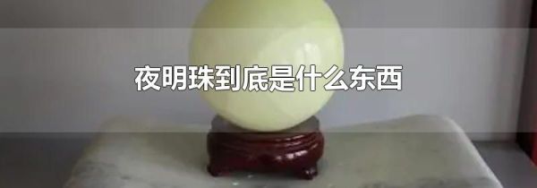 夜明珠到底是什么东西