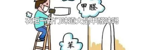 衣柜一开门味道大是甲醛味吗
