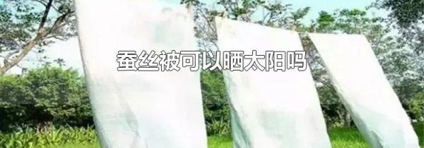 蚕丝被可以晒太阳吗