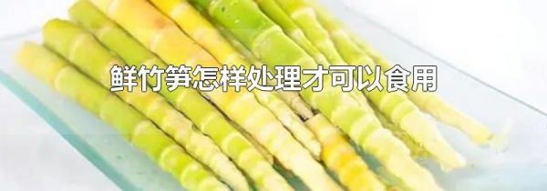 鲜竹笋怎样处理才可以食用
