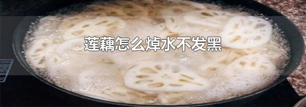 莲藕怎么焯水不发黑