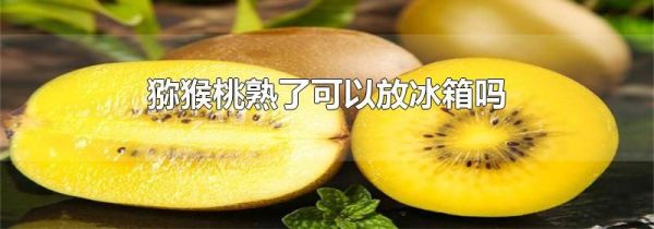 猕猴桃熟了可以放冰箱吗