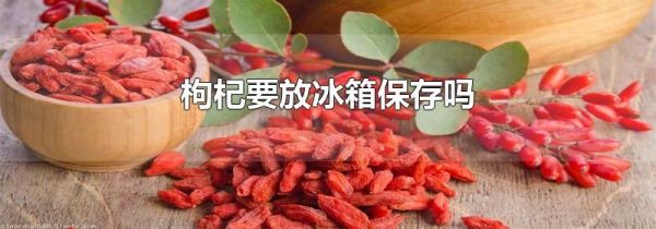 枸杞要放冰箱保存吗