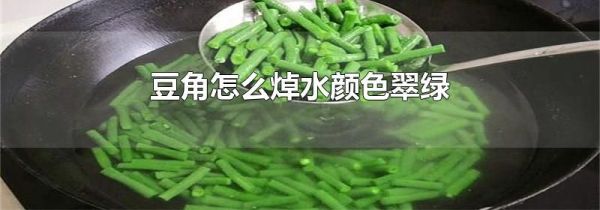 豆角怎么焯水颜色翠绿