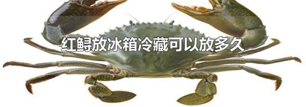 红鲟放冰箱冷藏可以放多久