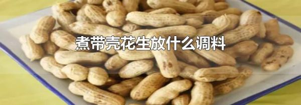 煮带壳花生放什么调料
