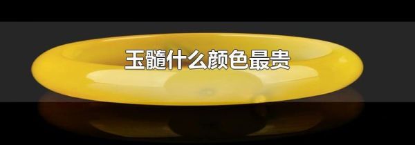 玉髓什么颜色最贵