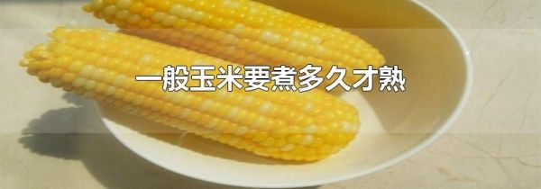 一般玉米要煮多久才熟