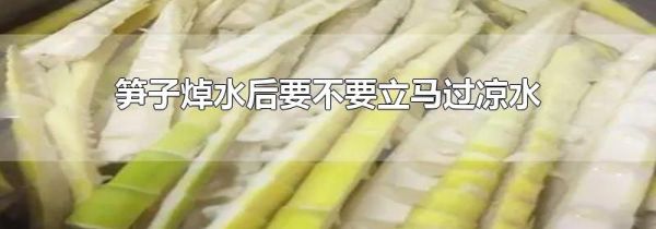 笋子焯水后要不要立马过凉水