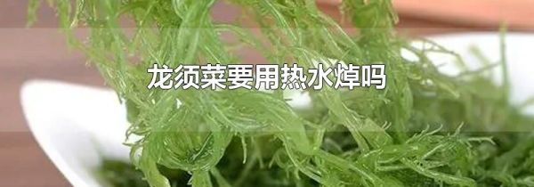 龙须菜要用热水焯吗