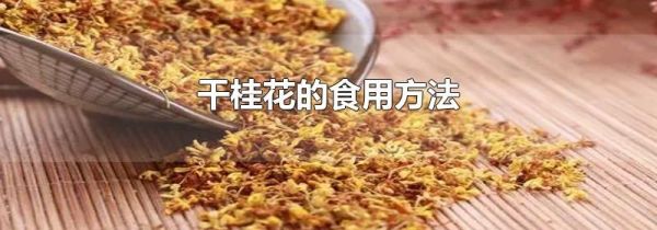 干桂花的食用方法