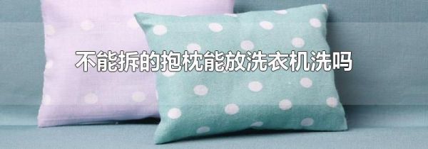 不能拆的抱枕能放洗衣机洗吗