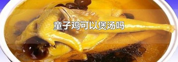 童子鸡可以煲汤吗