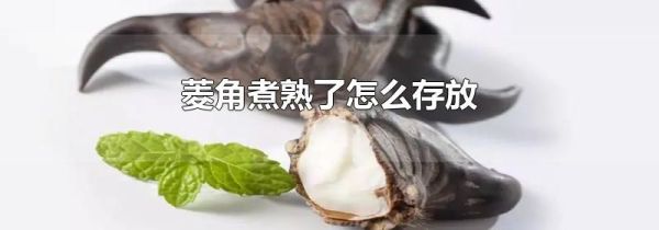 菱角煮熟了怎么存放