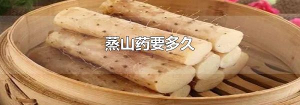 蒸山药要多久