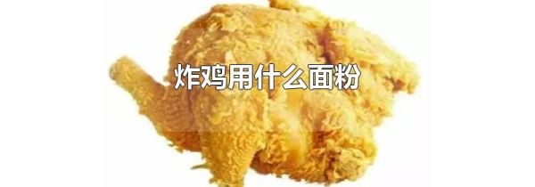 炸鸡用什么面粉