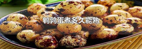 鹌鹑蛋煮多久能熟