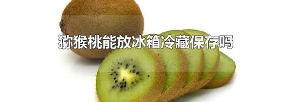 猕猴桃能放冰箱冷藏保存吗