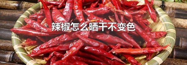 辣椒怎么晒干不变色