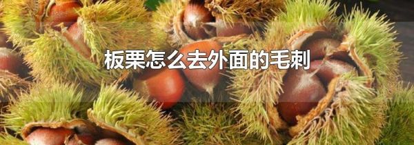 板栗怎么去外面的毛刺