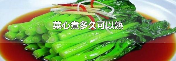 菜心煮多久可以熟