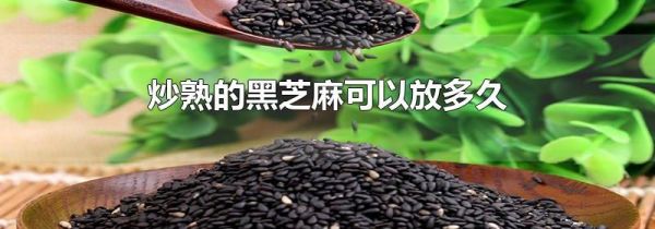 炒熟的黑芝麻可以放多久