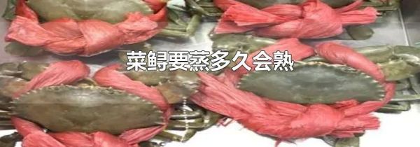 菜鲟要蒸多久会熟