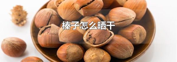 榛子怎么晒干