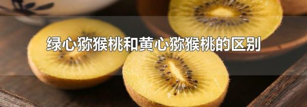 绿心猕猴桃和黄心猕猴桃的区别