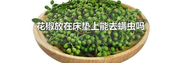 花椒放在床垫上能去螨虫吗