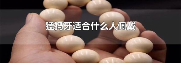 猛犸牙适合什么人佩戴