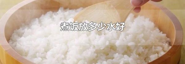 煮饭放多少水好